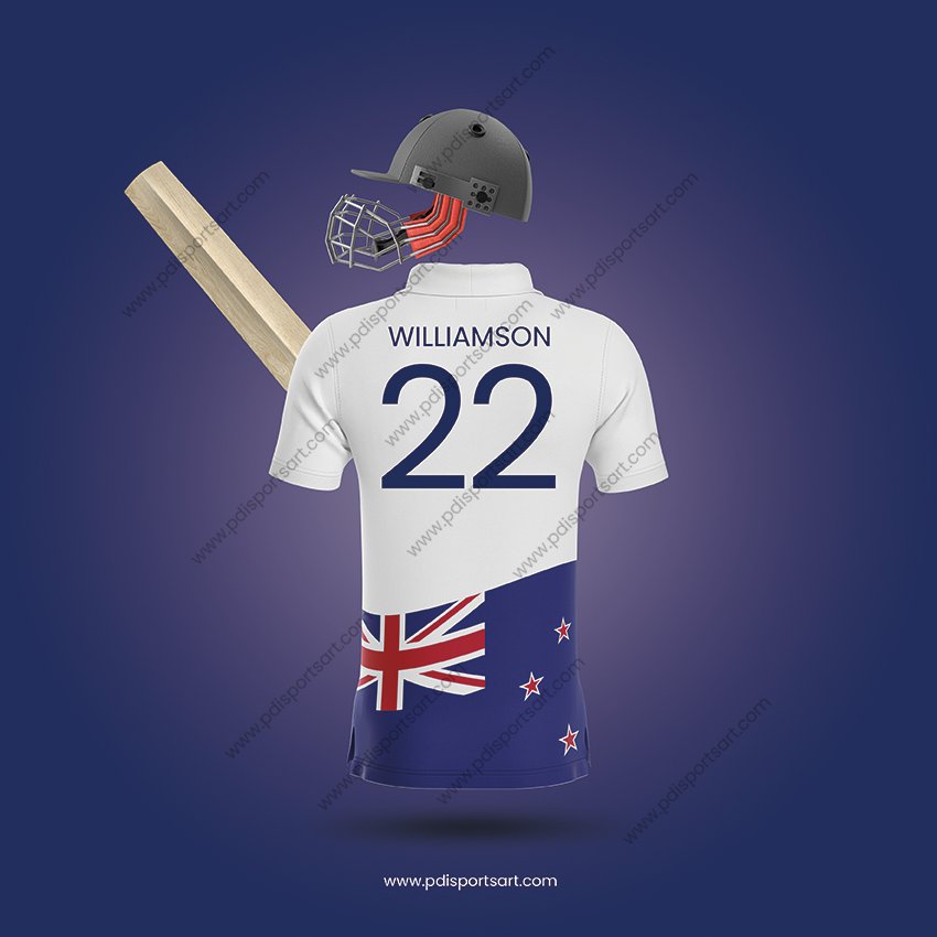 Cricket wall art print