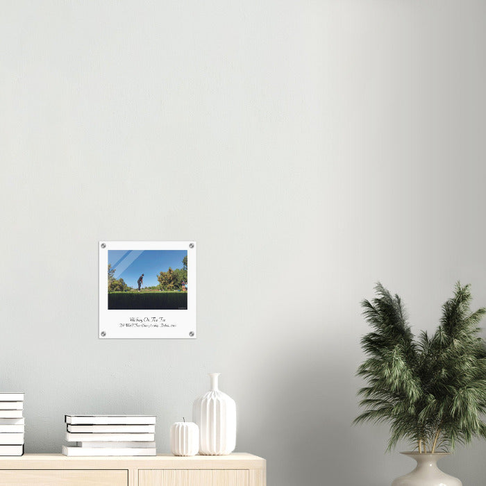 Rory Mcilroy print